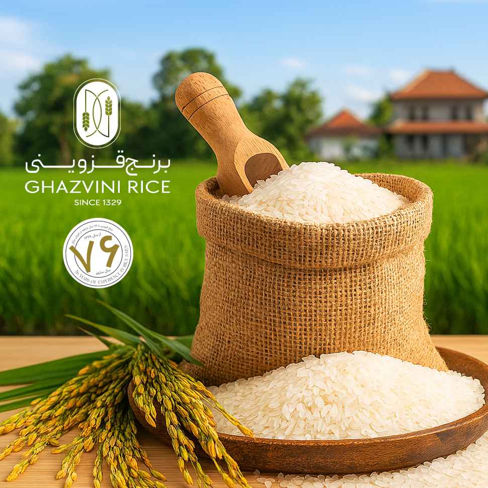 برنج قزوینی مازندران با 76 سال سابقه ، تهیه انواع مرغوب ترین برنج های ایرانی شمال